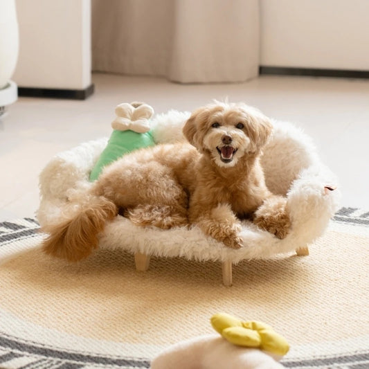 Luxury Removable Pet Sofa Bed – Washable & Durable for Dogs and Cats